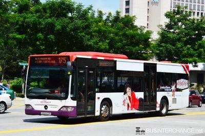 Bus 175 - SBS Transit Mercedes-Benz Citaro (SBS6123R)