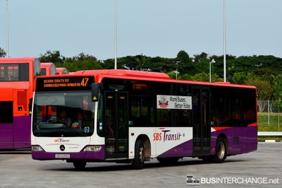 Bus 47 - SBS Transit Mercedes-Benz Citaro (SBS6315D)