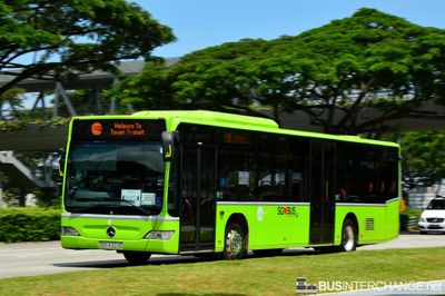 Tower Transit Singapore Mercedes-Benz Citaro (SBS6323E) - Tower Transit
