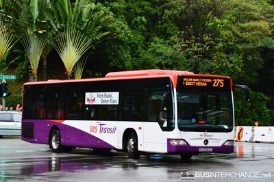 Bus 275 - SBS Transit Mercedes-Benz Citaro (SBS6364L)