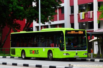 Bus 66A - Tower Transit Singapore Mercedes-Benz Citaro (SBS6364L)