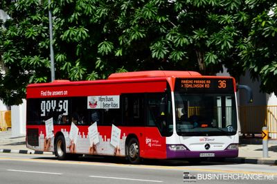 Bus 36 - SBS Transit Mercedes-Benz Citaro (SBS6384D)