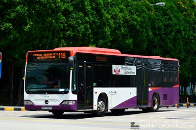 Bus 119 - Go-Ahead Singapore Mercedes-Benz Citaro (SBS6393C)