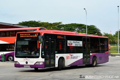 Bus 47 - SBS Transit Mercedes-Benz Citaro (SBS6408U)