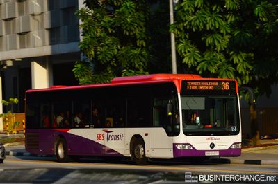 SBS6597G · 36