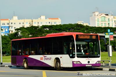 Bus 80 - SBS Transit Mercedes-Benz Citaro (SBS6716E)