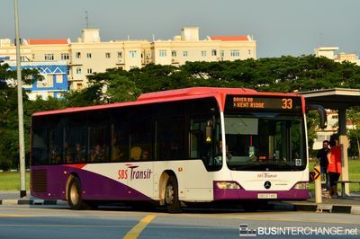 Bus 33 - SBS Transit Mercedes-Benz Citaro (SBS6741G)
