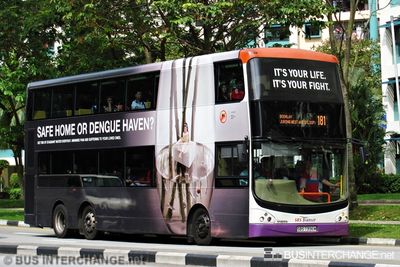 Bus 181 - SBS Transit Volvo B9TL (SBS7396M)