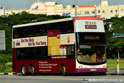 Bus 80 - SBS Transit Volvo B9TL (SBS7455B)