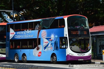 Bus 30 - SBS Transit Volvo B9TL (SBS7531P)