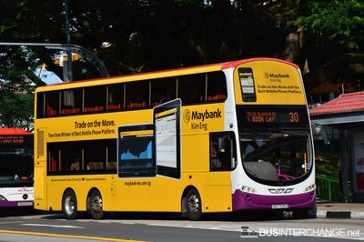 Bus 30 - SBS Transit Volvo B9TL (SBS7536B)
