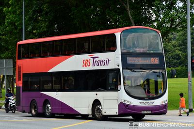 Bus 806 - SBS Transit Volvo B9TL (SBS7589Z)
