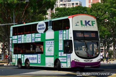 Bus 132 - SBS Transit Volvo B9TL (SBS7675H)