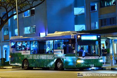 Bus 185 - SBS Transit Volvo B5RLE (SBS8002T)