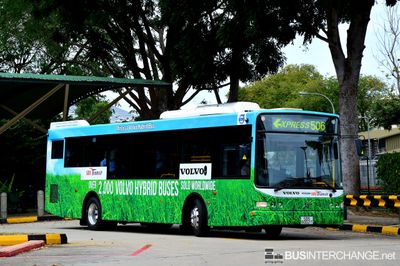 SBS8002T - Express 506 - SBS Transit Volvo B5RLE
