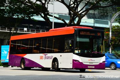 Bus 91 - SBS Transit Scania K230UB (SBS8037T)