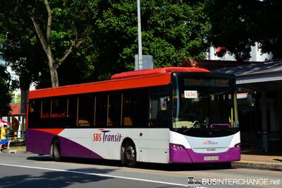 Bus 123M - SBS Transit Scania K230UB (SBS8038R)