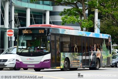 Bus 174 - SBS Transit Scania K230UB (SBS8056M)