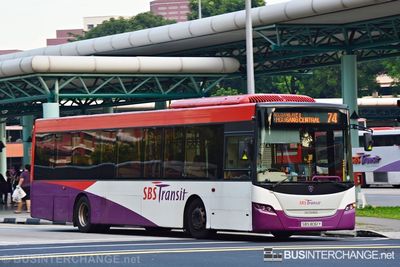 Bus 74 - SBS Transit Scania K230UB (SBS8061Y)