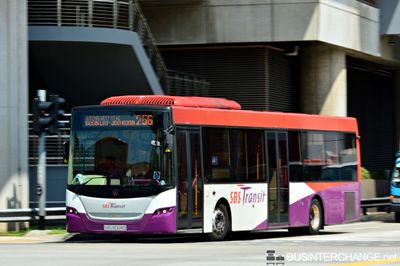 Bus 256 - SBS Transit Scania K230UB (SBS8068D)