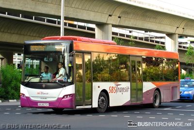 Bus 183B - SBS Transit Scania K230UB (SBS8070X)