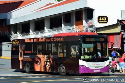 Bus 156 - SBS Transit Scania K230UB (SBS8071T)