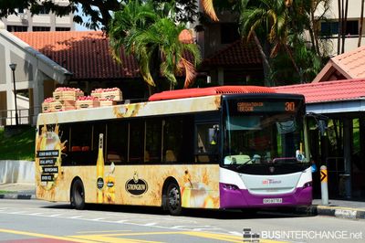 Bus 30 - SBS Transit Scania K230UB (SBS8078A)