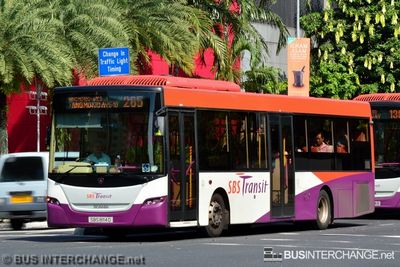 Bus 265 - SBS Transit Scania K230UB (SBS8114D)