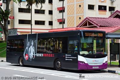 Bus 268 - SBS Transit Scania K230UB (SBS8119R)