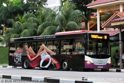 SBS8173H · 55