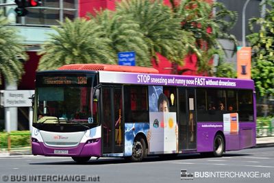 Bus 130 - SBS Transit Scania K230UB (SBS8179S)