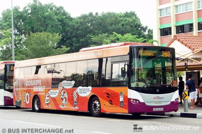 Bus 293 - SBS Transit Scania K230UB (SBS8219K)