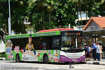 Bus 228 - SBS Transit Scania K230UB (SBS8223Y)