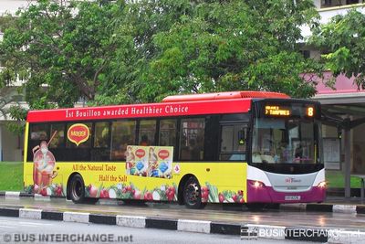 Bus 8 - SBS Transit Scania K230UB (SBS8228J)