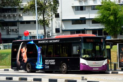 Bus 8 - SBS Transit Scania K230UB (SBS8228J)