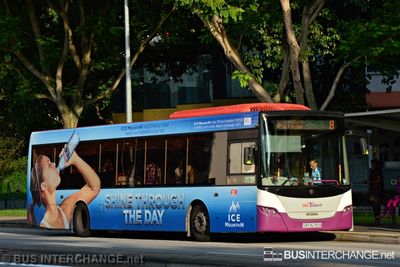 Bus 8 - SBS Transit Scania K230UB (SBS8230B)