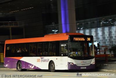 SBS8262J · 36