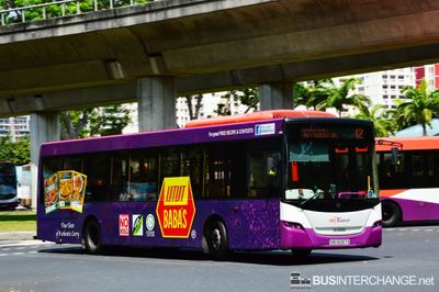 Bus 12 - SBS Transit Scania K230UB (SBS8267X)