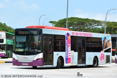 Bus 17 - SBS Transit Scania K230UB (SBS8295P)