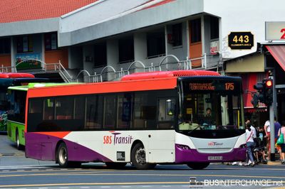 SBS8488A · 175