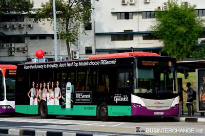 Bus 8 - SBS Transit Scania K230UB (SBS8497Z)