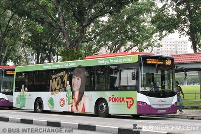 Bus 268 - SBS Transit Scania K230UB (SBS8543Z)