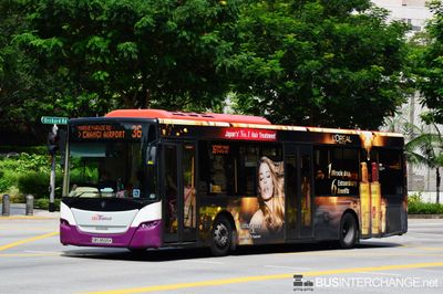 Bus 36 - SBS Transit Scania K230UB (SBS8565K)