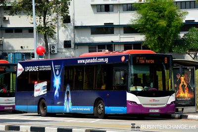 Bus 8 - SBS Transit Scania K230UB (SBS8577B)