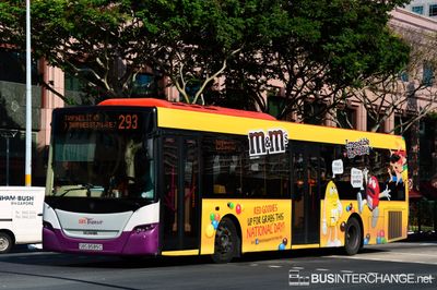 Bus 293 - SBS Transit Scania K230UB (SBS8585C)