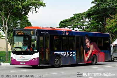 Bus 81 - SBS Transit Scania K230UB (SBS8585C)