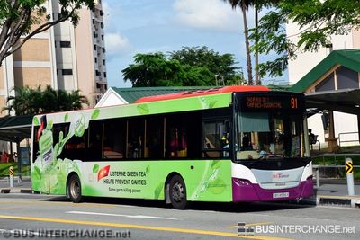 Bus 81 - SBS Transit Scania K230UB (SBS8596X)