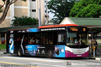 Bus 81 - SBS Transit Scania K230UB (SBS8598R)