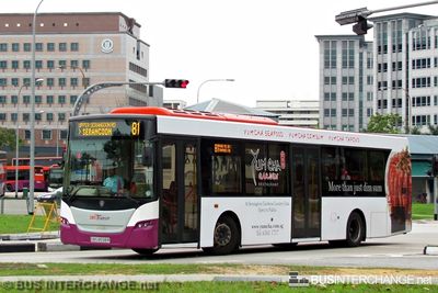 Bus 81 - SBS Transit Scania K230UB (SBS8598R)