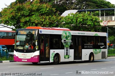 Bus 81 - SBS Transit Scania K230UB (SBS8600S)